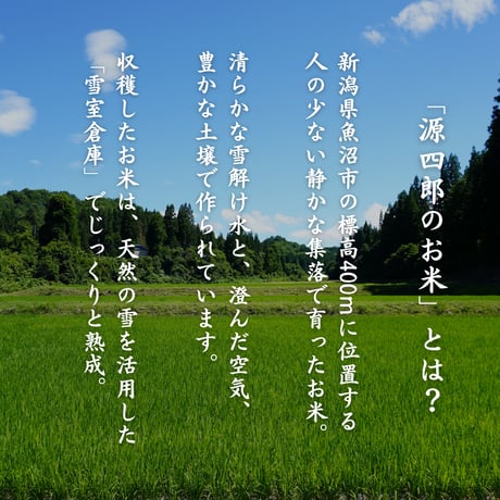 【新米／令和七年度】「源四郎のお米」食べ切りサイズ（5kg）
