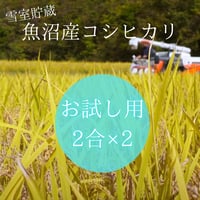 お試し用に【２合パック×２（600g）】