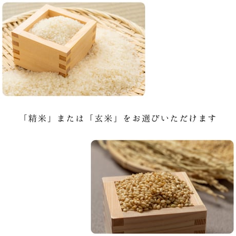 【2ヶ月に1回／サブスク】雪室貯蔵米「源四郎のお米」（新米10kg）