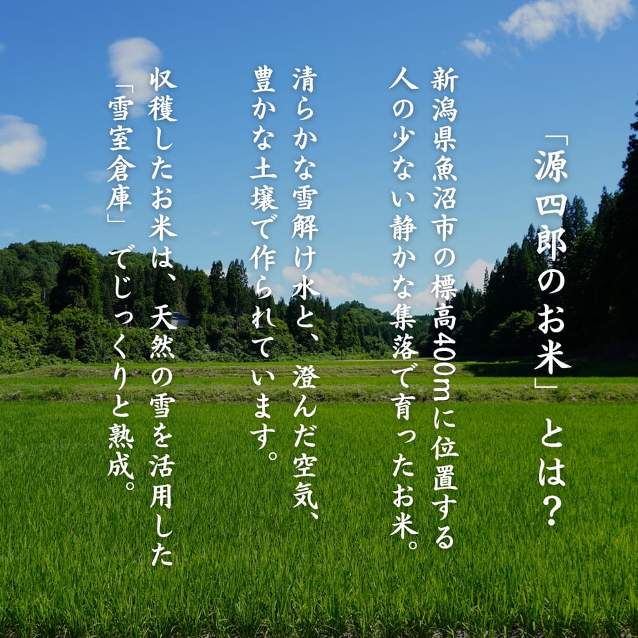 688bf3a4ff9a531b37e4a3cf