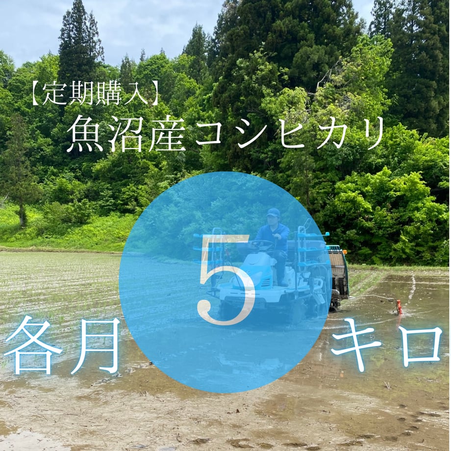 6750459d51afd105335f0a75