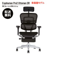 corkyさん用 エルゴヒューマンEHP-LPL ErgohumnPro引取希望 corkyさん用 エルゴヒューマンEHP-LPL ErgohumnPro引取希望 椅子