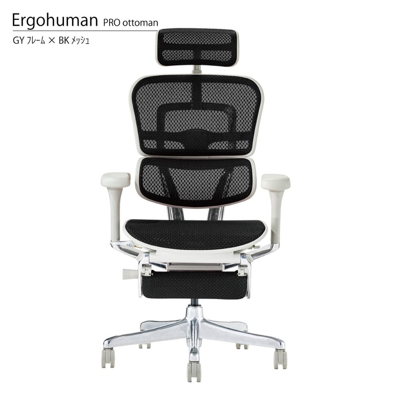 大人気新品 n＊【ジャンク品】Ergohuman エルゴヒューマン Pro KM-12