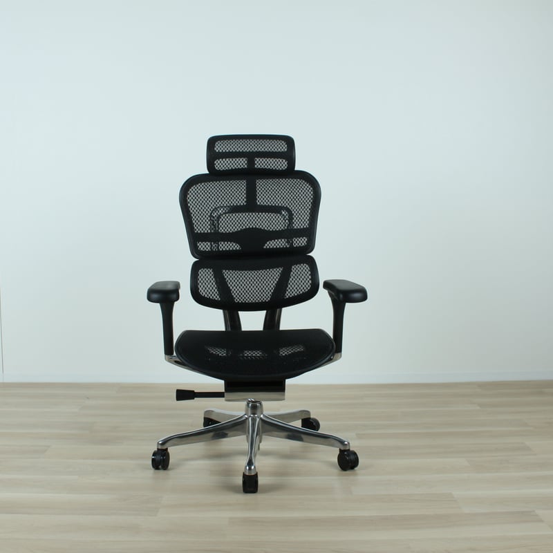 しの　エルゴヒューマンプロ エルゴヒューマン プロ / ヘッドレスト無し【メーカー組み立て