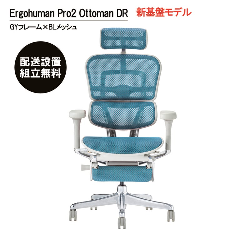 新基盤モデル＞エルゴヒューマンPro2オットマン-DR-GYフレーム(配送 