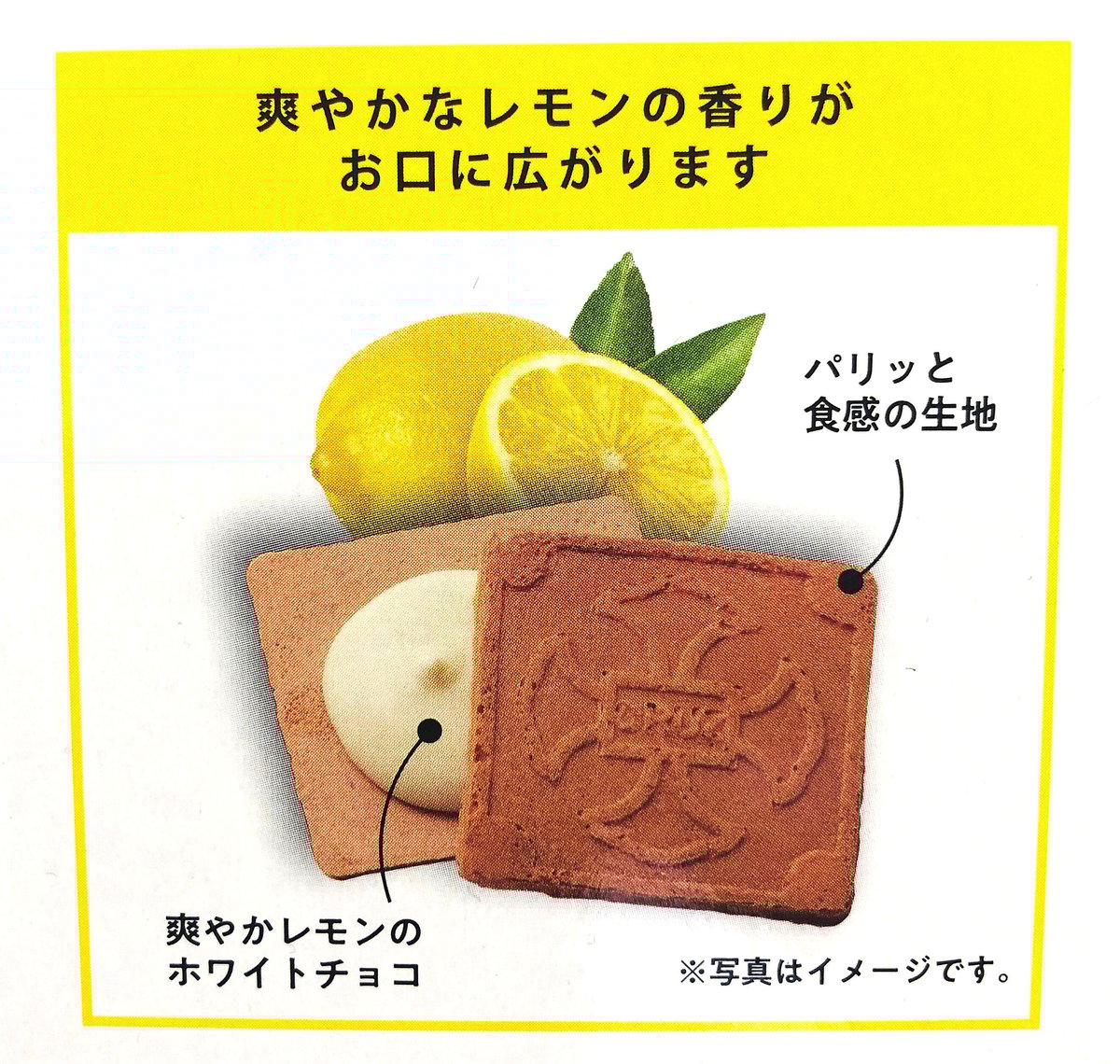 レモンクルス 8枚入 | 長崎お土産すみや