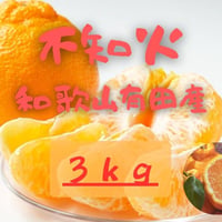 和歌山県有田産 デコポン（不知火）5kg | いち松農園
