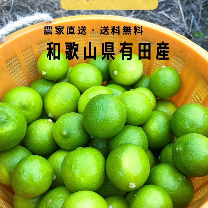 和歌山県有田産》🍈【タヒチライム】🍈 1．2kg 香り・果汁抜群