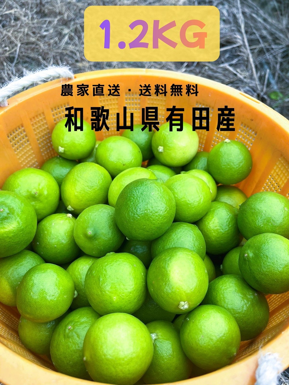 和歌山県有田産》🍈【タヒチライム】🍈 1．2kg 香り・果汁抜群