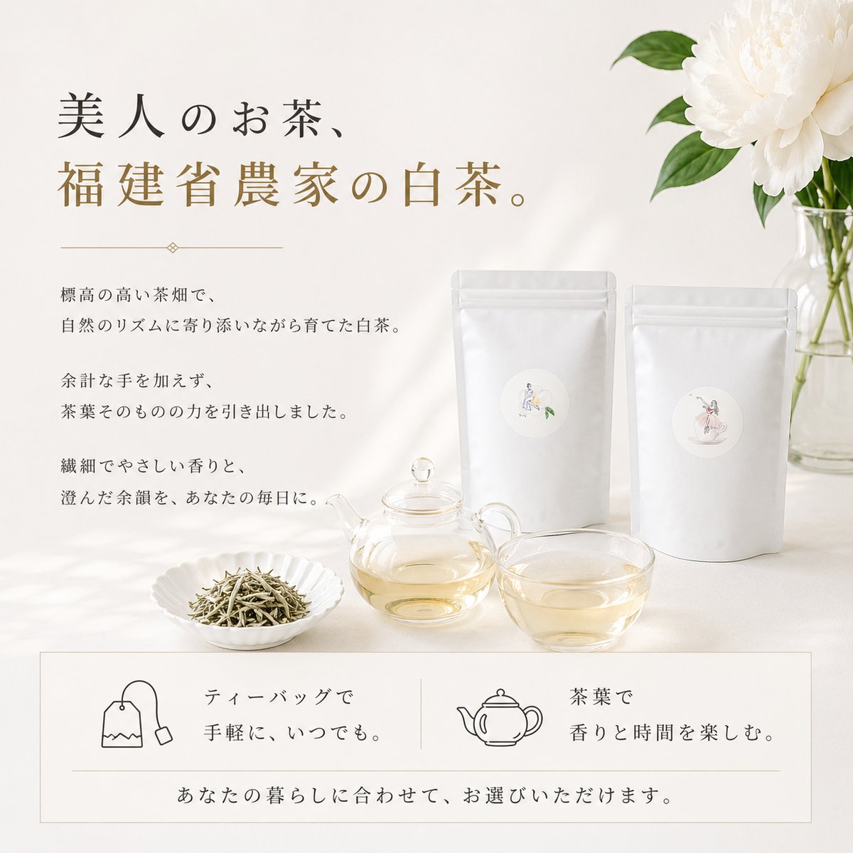 予約販売】2026年新茶 白毫銀針＋白牡丹セット | 一寧 白茶専門店