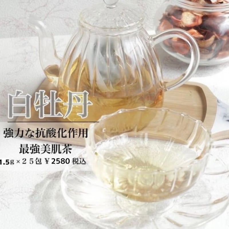 予約販売】白牡丹 | 一寧 白茶専門店