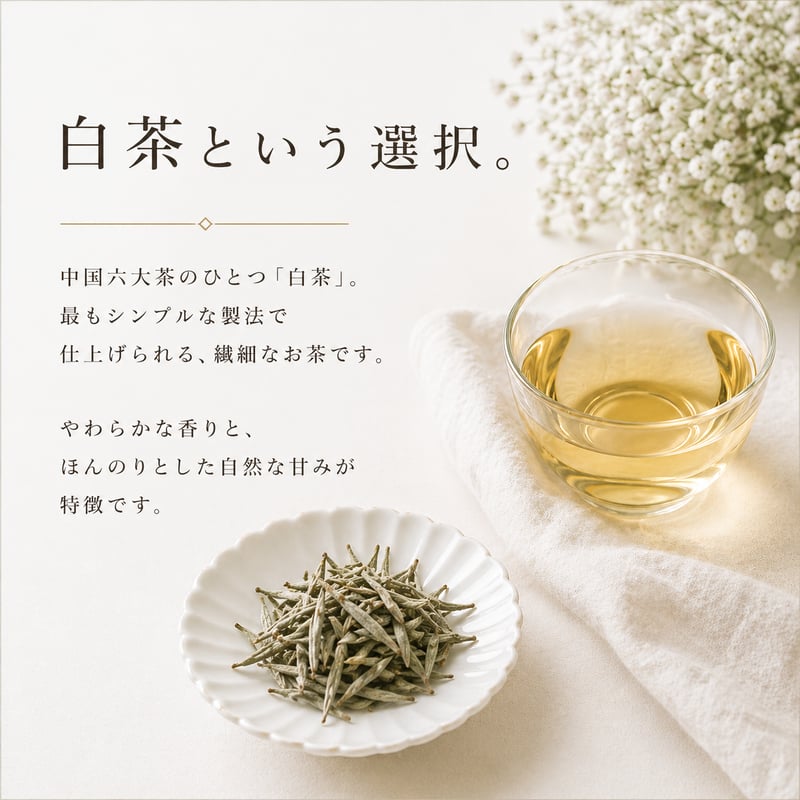 予約販売】2026年新茶 白毫銀針＋白牡丹セット | 一寧 白茶専門店