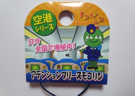 【北海道限定】アテンションプリーズモコリン（青制服）