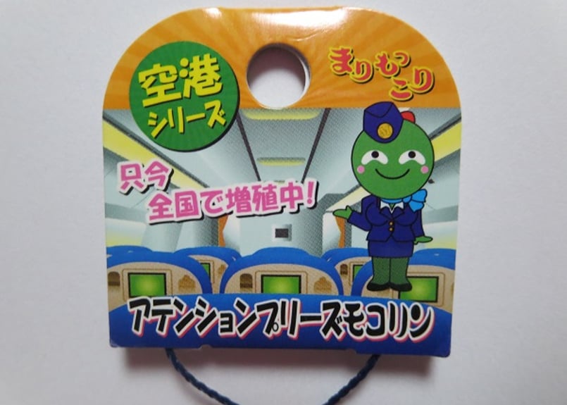 まりもこりん fit=scale-down,w=1200