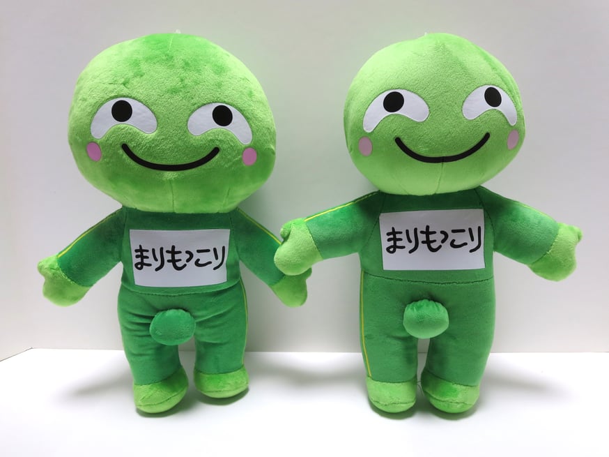 NEWS | まりもっこり with KYOWA