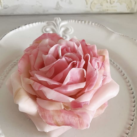 ロサケンティフォリアキャンドル（rosa centifolia）