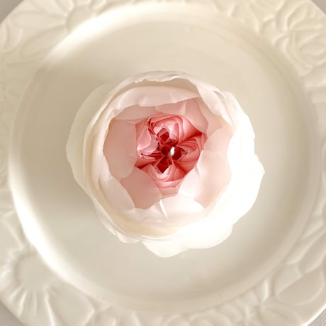 クリスティアーナキャンドル（Christiana candle）（受注生産）