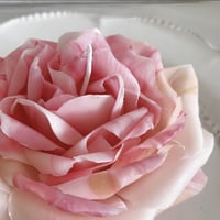 ロサケンティフォリアキャンドル（rosa centifolia）