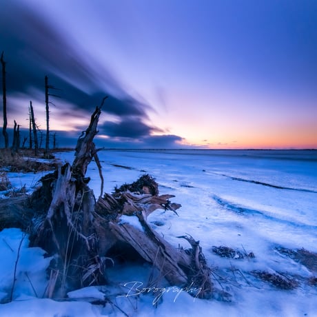 ケンマロ様おまとめ専用✦284✦ショップ様用看板製作✦A3サイズ×2枚✦日本語 ケンマロ様おまとめ専用✦284✦ショップ様用看板製作✦A3サイズ