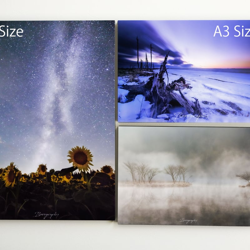 ビワハイジ写真パネル ひまわり畑 天の川 A3 Size | Borography STORE