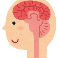脳性麻痺の病態関連図