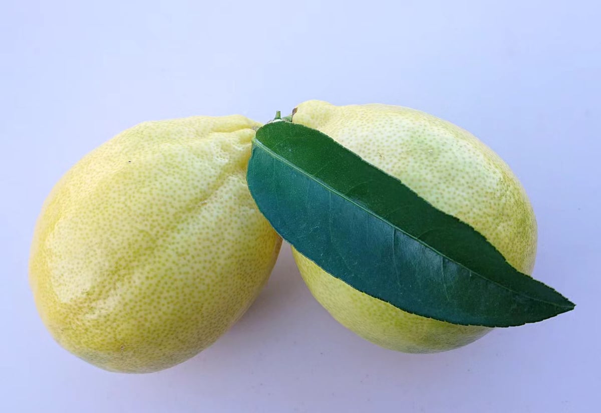 レモン密璃の香と生搾り無添加100%果汁360ml瓶のセット | 清水