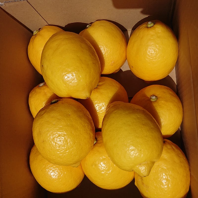 清水日本平檸檬屋 onlineshop