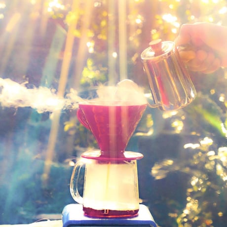 【定期便】送料無料！Tanzania Ngorongoro 200g ※ダークロースト