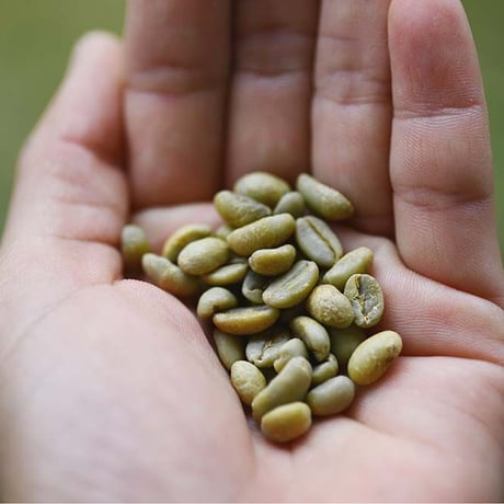 【Guji, Ethiopia, Natural 】 ※ライト〜ミディアムロースト