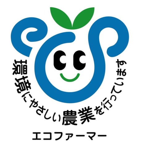 【常温】☆シャインマスカット☆　４kg箱(７房～９房)☆９月下旬から発送☆