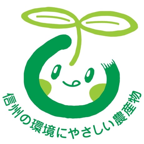 【常温】☆シャインマスカット☆　４kg箱(７房～９房)☆９月下旬から発送☆