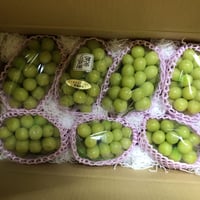 クール便☆シャインマスカット☆　４kg箱(７房～９房)☆９月下旬から発送☆