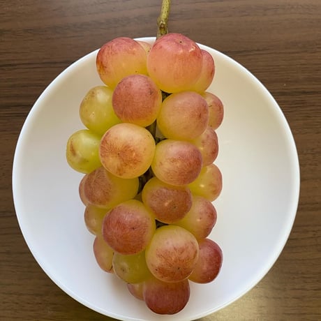 ☆紅環（べにたまき）種無し・皮ごと☆10月上旬から発送☆