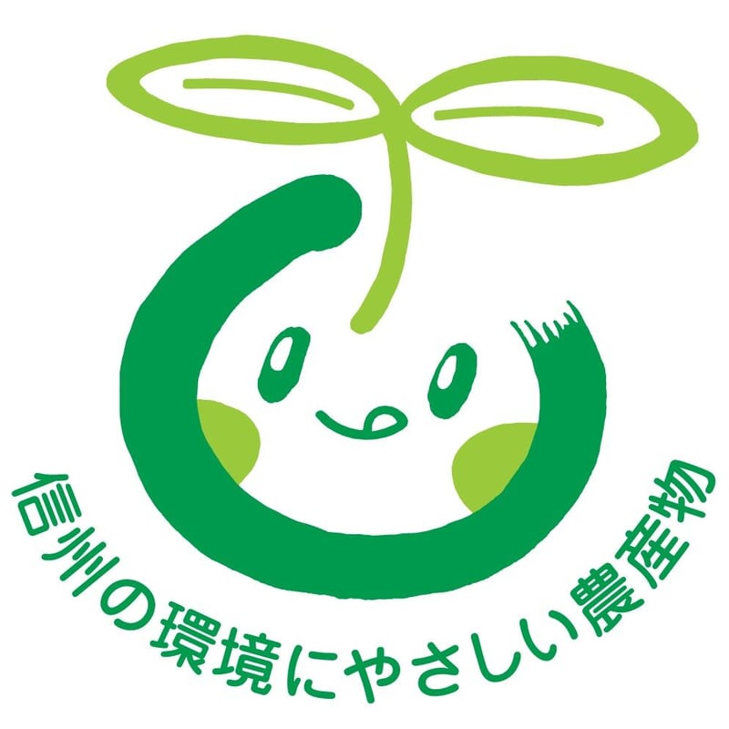 ☆ナガノパープル☆家庭用 2kg箱(3房~5房) 1.8kg〜2.0kg☆9月
