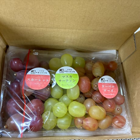 クール便【粒】おまかせぶどう３品種　１kg　☆９月上旬から１０月中旬の期間に発送☆