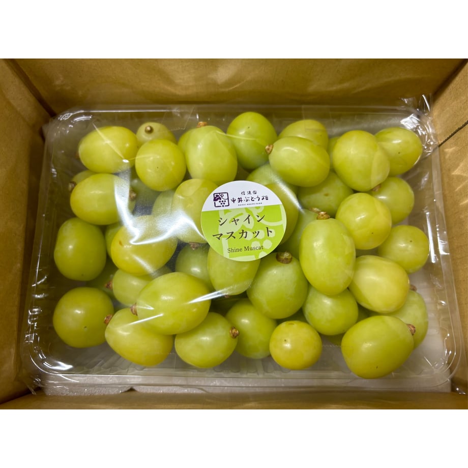 66c077218f9c85083efb32ca
