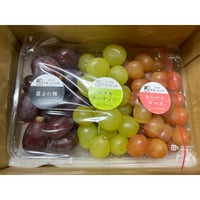 クール便【粒】おまかせぶどう３品種　１kg　☆９月上旬から１０月中旬の期間に発送☆