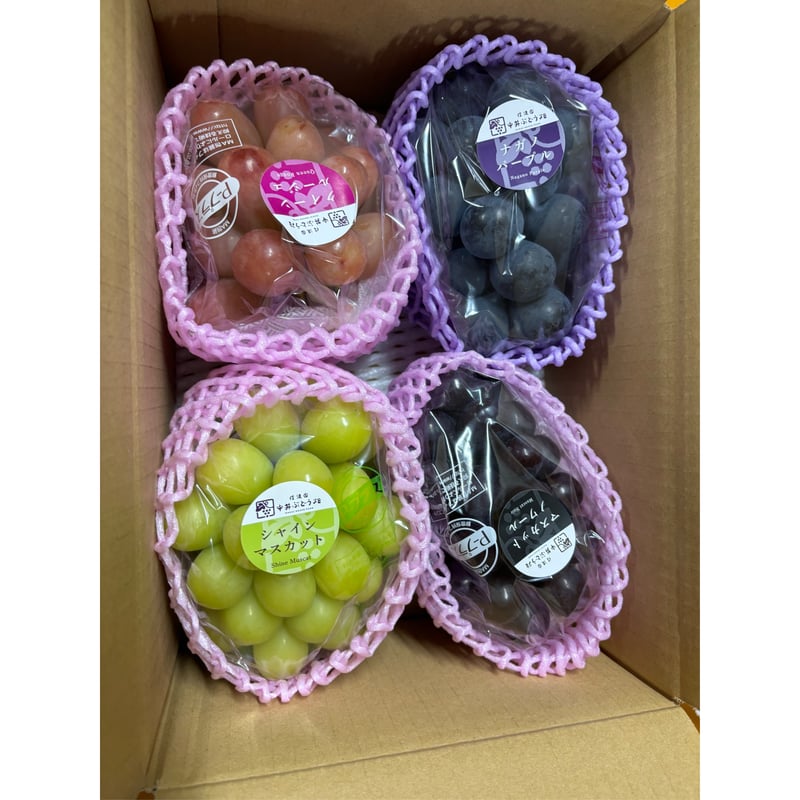 ☆【房】おまかせぶどう 2kg箱 3〜4品種 3房〜5房 家庭用