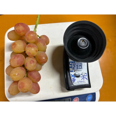 クール便☆【粒】ヌーベルローズ　１kgパック　種無し・皮ごと　☆１０月上旬から発送☆