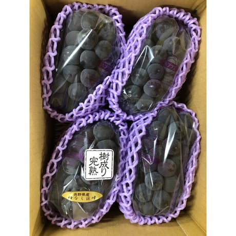 クール便☆送料お得２箱セット！１．８kg×２☆種無し巨峰☆9月上旬から発送☆