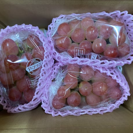 クール便☆サニードルチェ　８５０g ２房　種無し・皮ごと☆10月上旬から発送☆