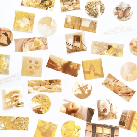 海外 PET フレークシール 80枚set《yellow》  [F444]