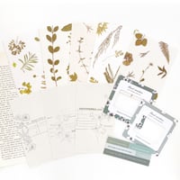 フラワー コラージュ素材セット《green》 [P285]