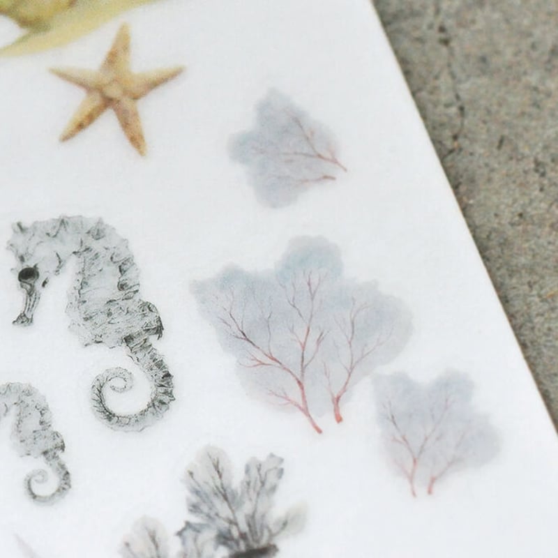 MU Print-On Stickers 転写シール [MU098] | Misty Clas