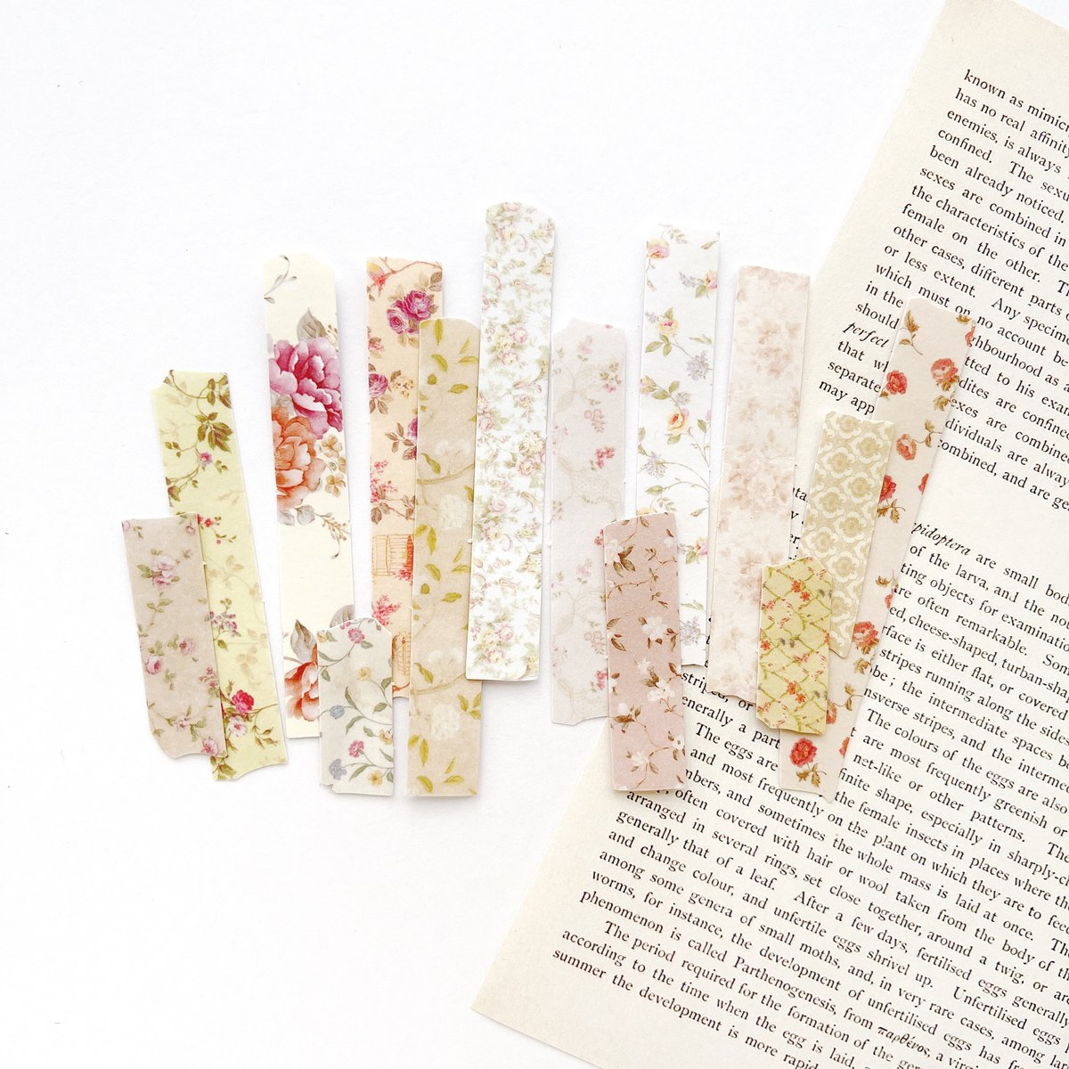 海外マステ まとめ売り 花柄6点 ・*.❁ 海外マステ まとめ売り 花柄6点