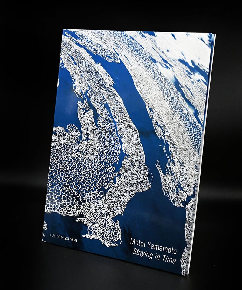 ☆Shinya Yamamoto アドニス　VM-60（現状渡し）☆ Late Spring | Chihei Hatakeyama | Gearbox Records