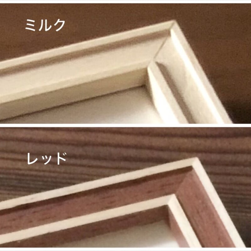 額装】デイジーのドイリー 19cm〈ホワイト〉 | フッタリーテッタリー