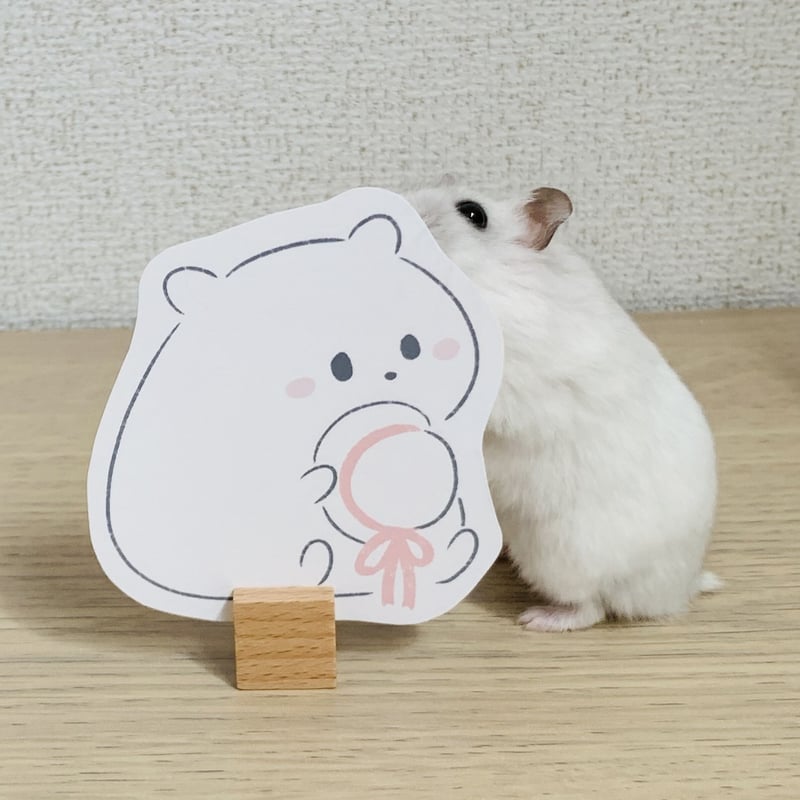 はむのミニメッセージカードセット | koguma to hamu shop