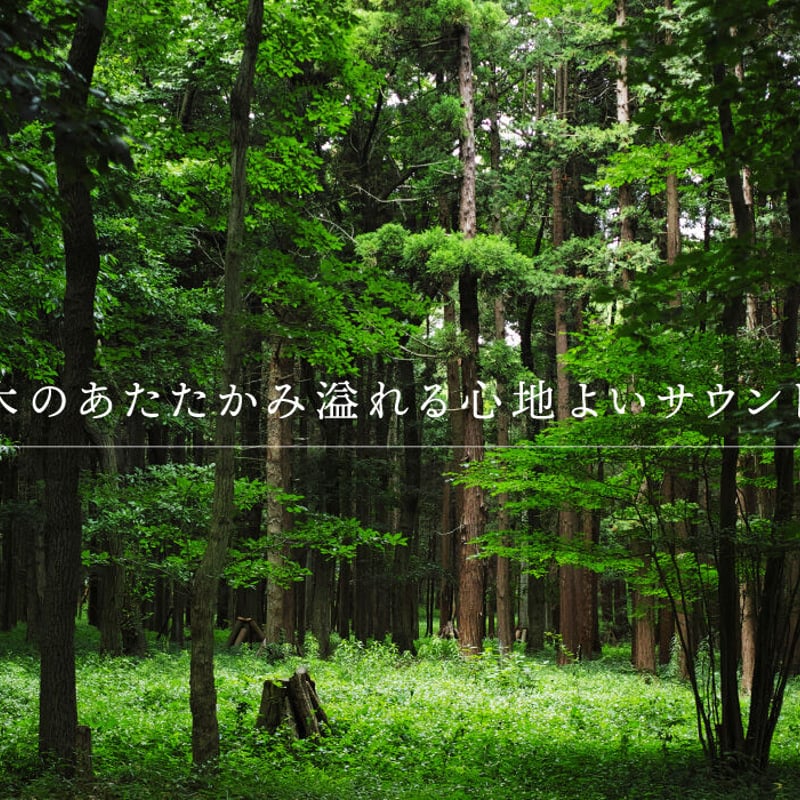 宮崎県産ひのき ウッドスピーカー キャンプなどに大活躍 | Nitto
