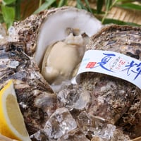 鳥取県産天然岩ガキ「夏輝（なつき）」Lサイズ×8個入り（2.4kg以上）ラベル付き